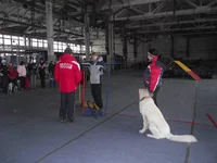 20110104 UK_2358.JPG