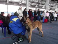 20110104 UK_2368.webp