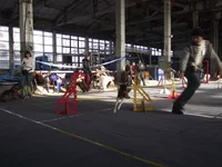 20110106 UK_2492.webp