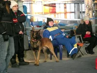 20110106 UK_2515.webp