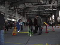 20110107 UK_2635.JPG