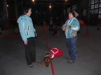20110107 UK_2674.webp
