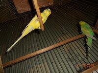 DSCN0872.jpg