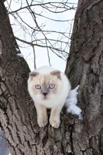 x_62561f31.webp