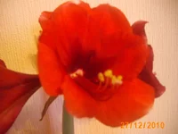 IMG_0682.JPG