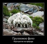 1340684861_041_2.jpg