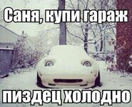2498500.jpg