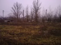3887334_m.jpg