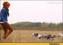 %D0%B8%D1%86%D0%B0-%D0%B1%D0%B0%D1%8F%D0%BD-821416.gif
