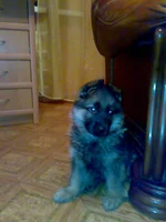 23122008392.jpg