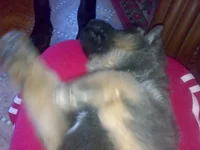 240920101065.jpg