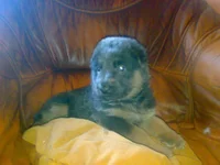 240920101063.jpg