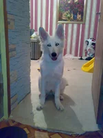 22012009413.webp
