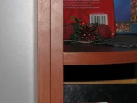 102.webp