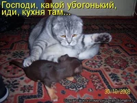 774584.webp