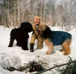-нестандарт.webp