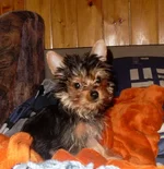 SL370283.webp
