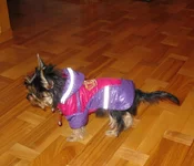 IMG_1710.webp