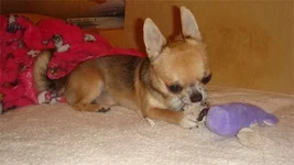 9d2e9f2403da.webp