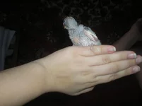 P1010003.webp
