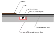  пол.webp