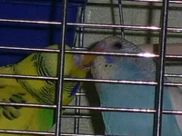 PIC_0826.webp