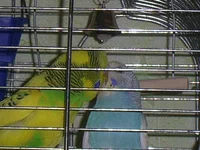PIC_0825.webp