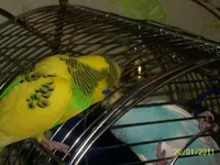 PIC_0810.webp