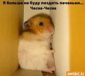 73575503490cc8b2a98bc0bba796c6e1.jpg