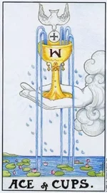 Cups01.webp