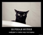 267a5f730e34671d54a688b798030740.jpg