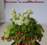 Ms. Smartypants - sport.webp