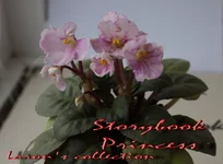 Storybook Princess.webp