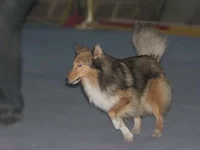 IMG_5285_1.jpg