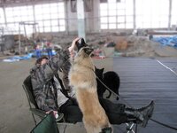 IMG_5295_1.jpg