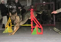 IMG_5315_1.jpg