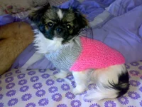 15012011551.webp