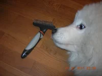DSCN7130.webp