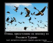 e4e0e43578be69e6d10cc8005b85ad58.jpg