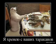 f142faf2cf6dc12a19898bdfe1418cb0.jpg