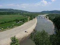 50081855.webp