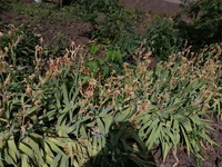 IMG_20230622_152750.webp