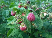 WP_20230916_002.webp