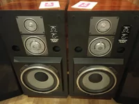 Акустическая система Hi-Fi Электроника 100ас-060