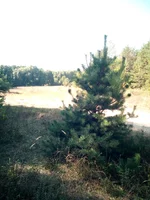 IMG_20230930_125532.webp