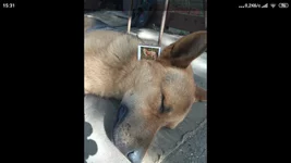 Screenshot_2023-09-30-15-31-19-466_com.miui.gallery.webp