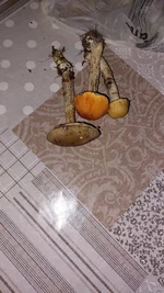 20230930_203048.webp