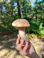 20230930_111854[1].jpg