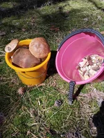 IMG-637a0d987384119a710b6c395e67c415-V.webp