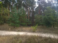 WP_20231006_002.jpg